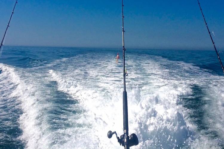 fishing charter boat fishing charter boat