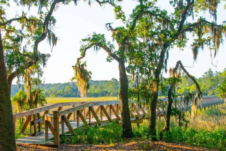 boardwalk over marshes