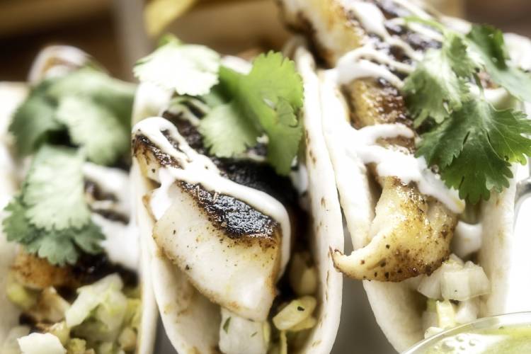 fish tacos